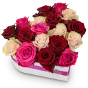 Julitette love
